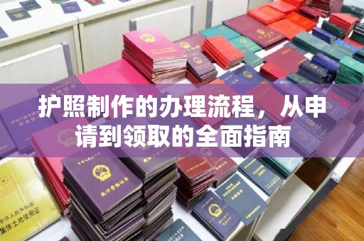 常宁护照制作的办理流程，从申请到领取的全面指南
