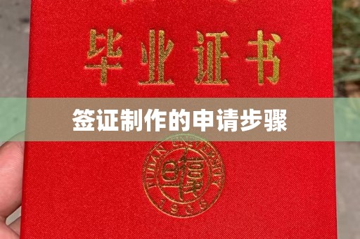 常宁签证制作的申请步骤