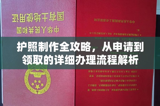 常宁护照制作全攻略，从申请到领取的详细办理流程解析